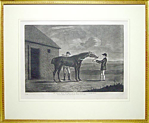 Careless (with jockey); Cardinal Puff; Pumpkin; Careless Beating Atlas.