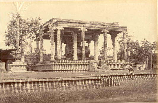 The Great Stone Bull, Tanjore.