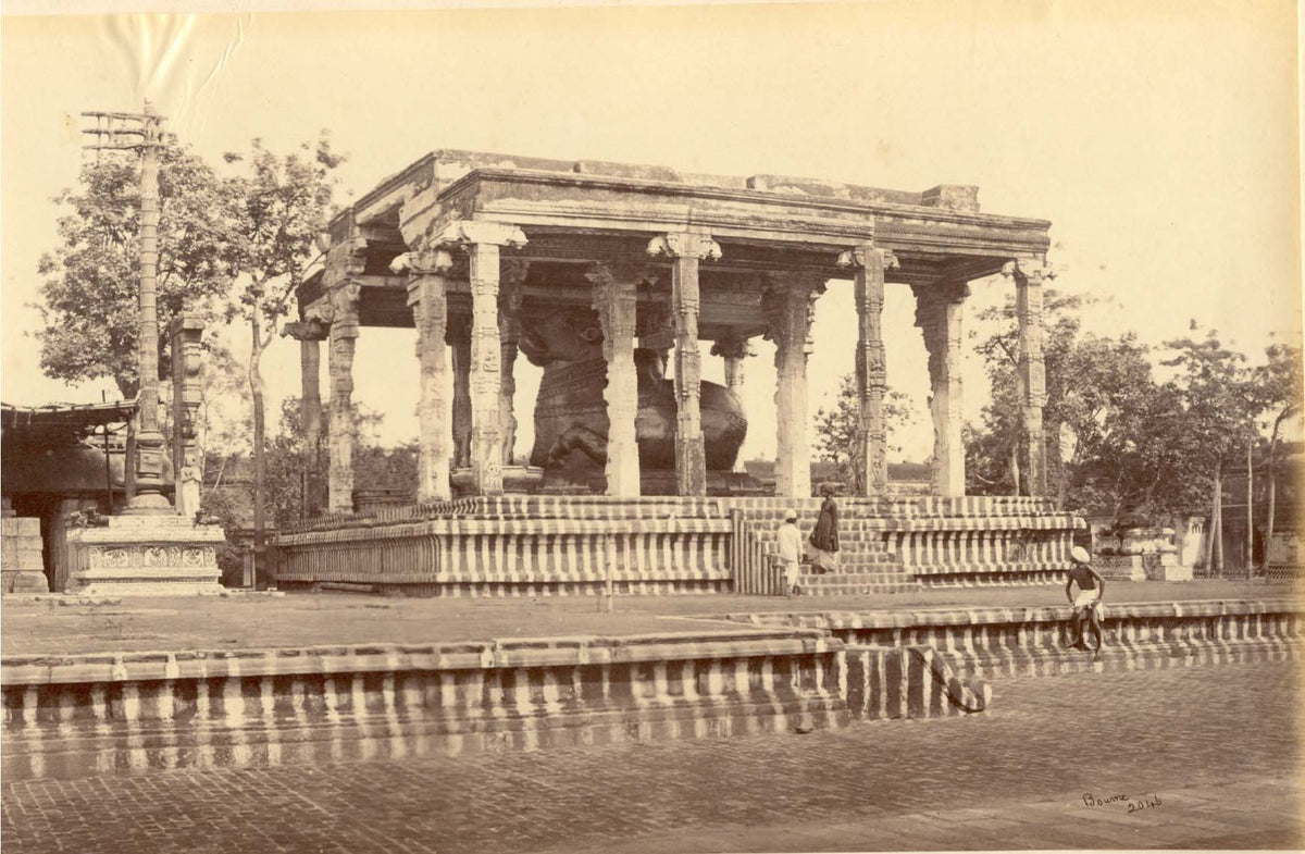 The Great Stone Bull, Tanjore.