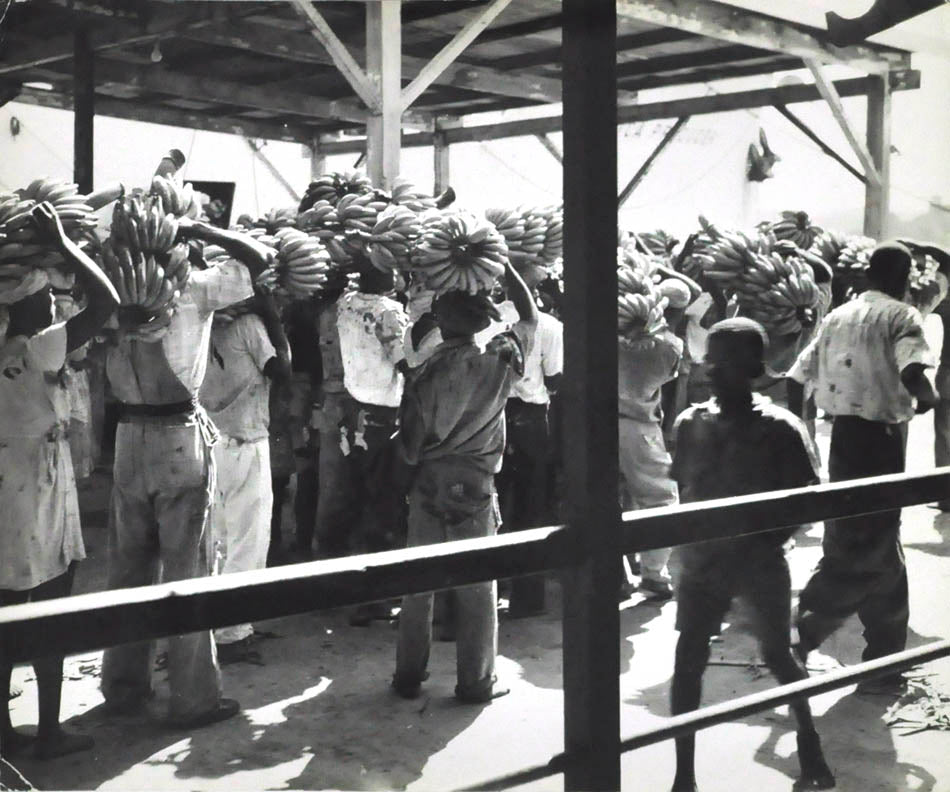 Carrying Bananas, Jamaica.