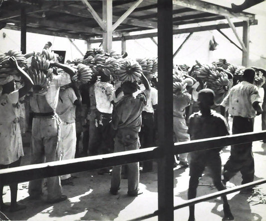 Carrying Bananas, Jamaica.