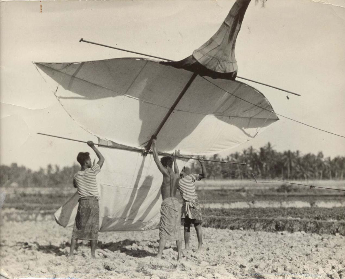 Kite Flying, Bali.
