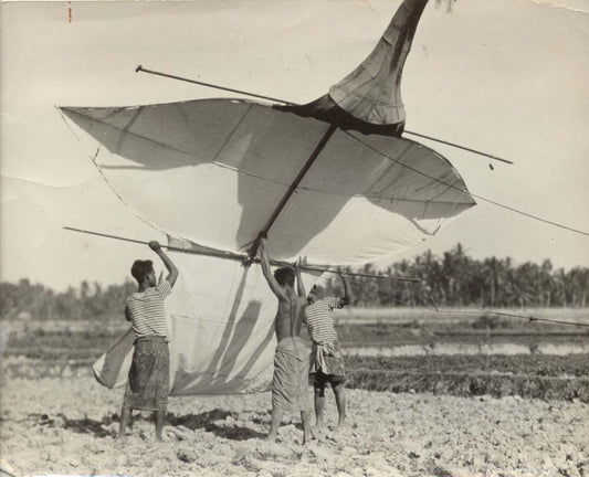 Kite Flying, Bali.