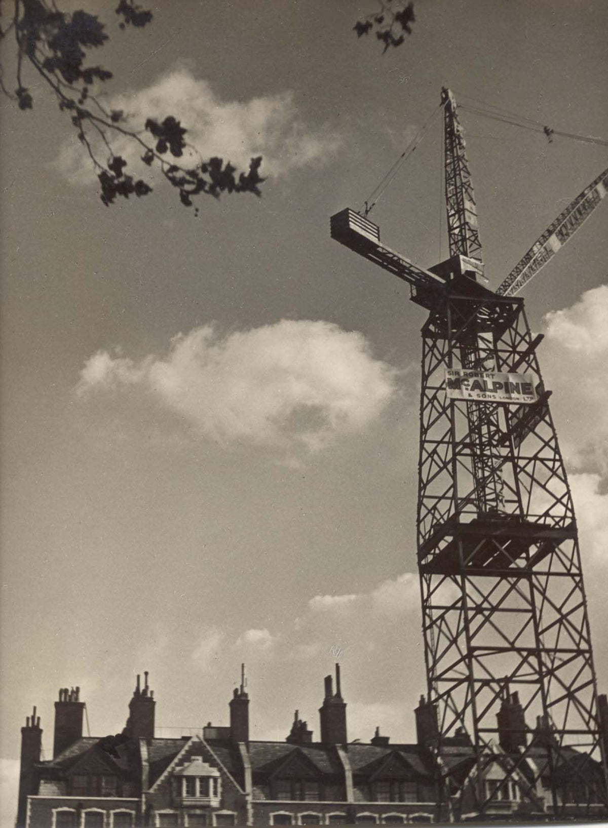 View Of Crane From The Roof-Tops.