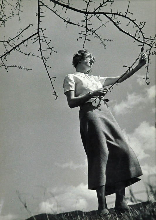 Spring
