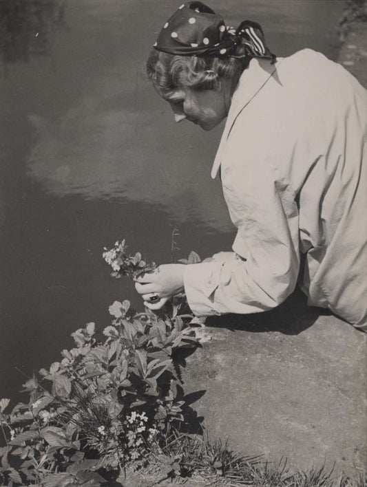 Picking Flowers