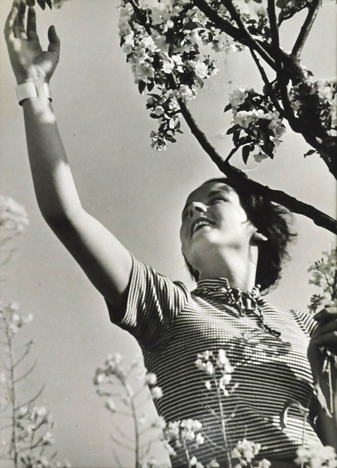 Touching The Blossom