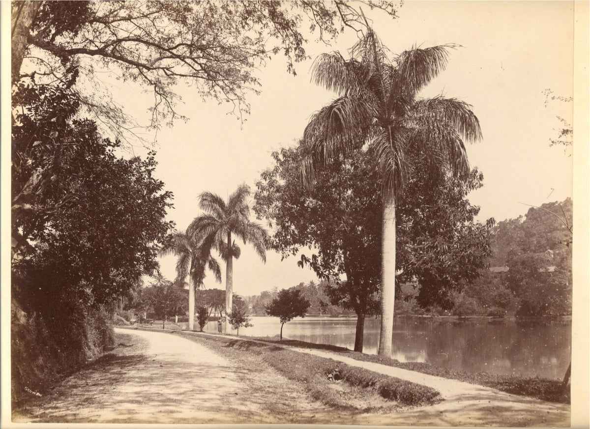 [Avenue beside Lake at Kandy].