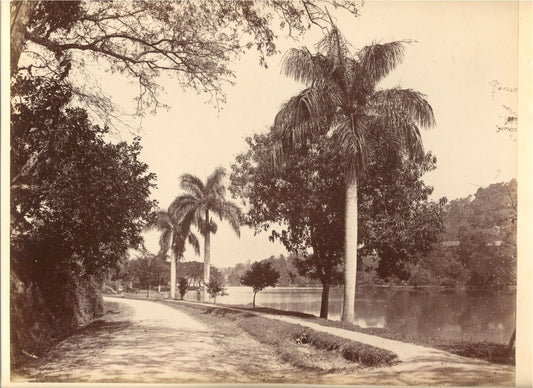 [Avenue beside Lake at Kandy].