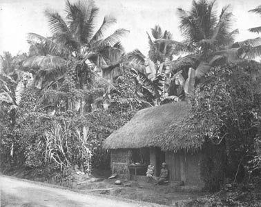 [Village Scene, Ceylon]