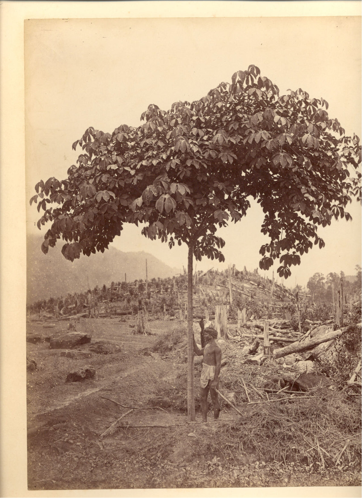 [Figure by a Tree].
