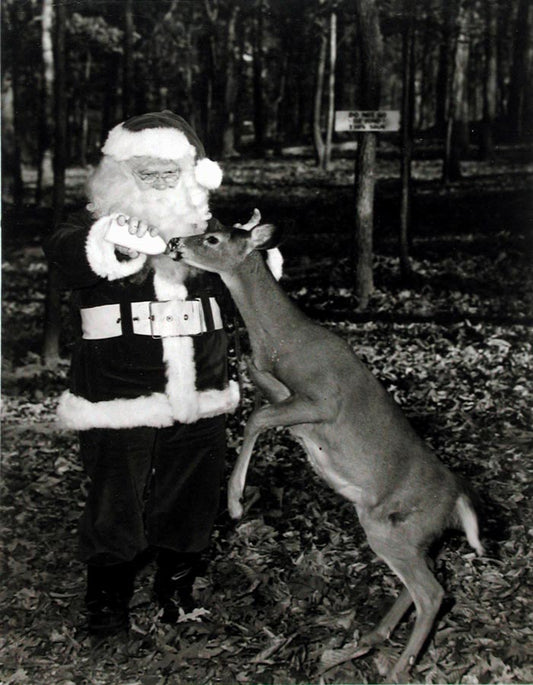 [Santa Claus with young reindeer]. Amerikanischer Nikolaus.