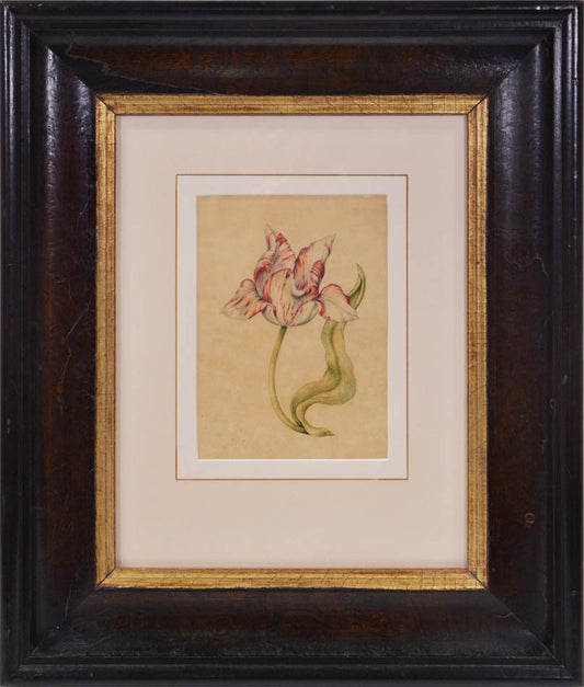 Water-colour on Dutch laid paper, light paper toning.  Framed and glazed