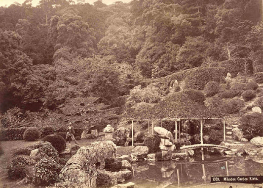Mikados Garden, Kioto.