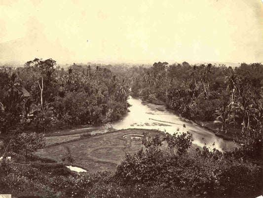 [View of River and Bush].