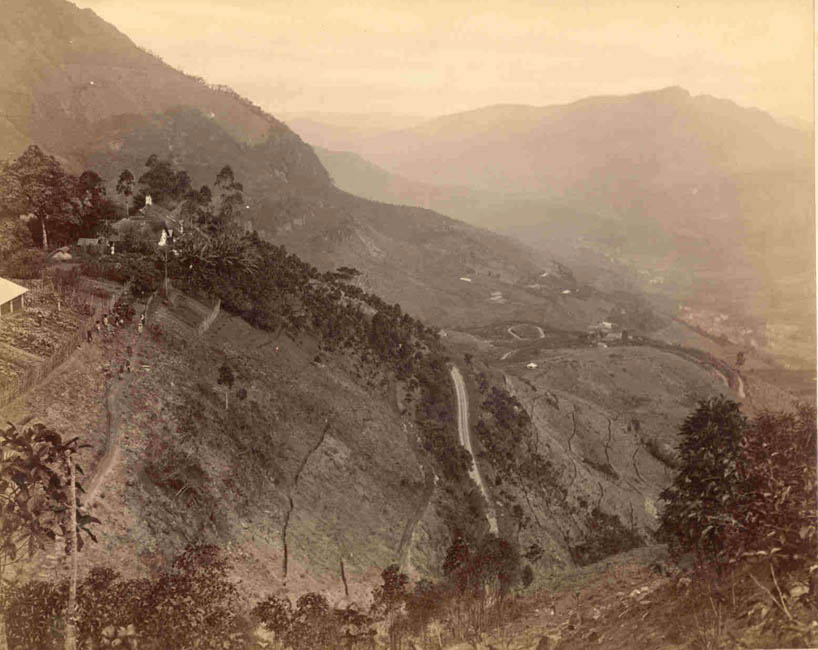 [Panorama].