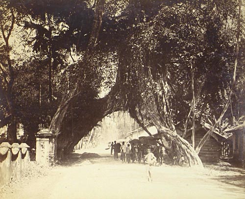 [Street Scene].