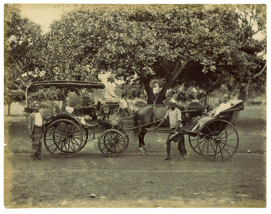 [Transport].