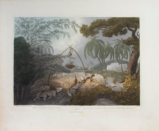 Widely considered to contain the finest images of field sports of the Orient.
