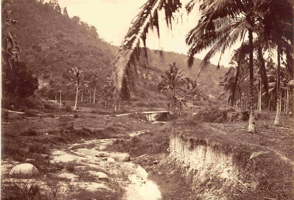 [Ceylon Landscape].