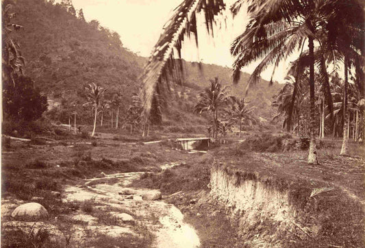 [Ceylon Landscape].