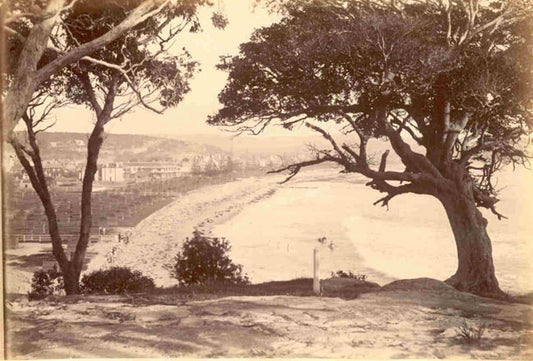 [The Beach at Galle].