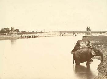 A good rich albumen print in fine condition showing an Indian elephant emerging from a river.