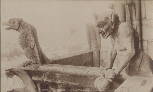 [Gargoyle on Notre-Dame].