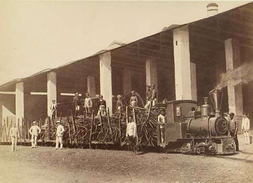 Sugar Factory, Soekodono.