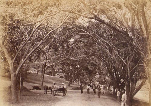 [Rural village, Ceylon].