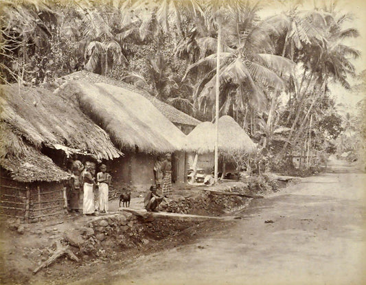 Village houses.