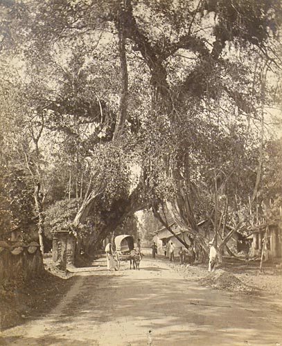 [Village road ].