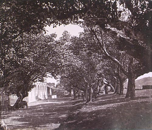 [Hotel, Galle].