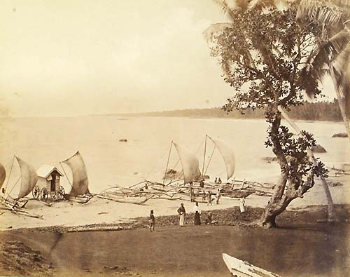 [View from hotel, Ceylon].