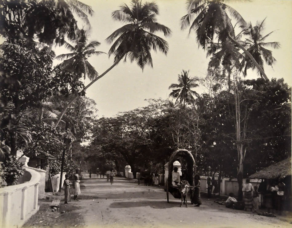 Village scene.