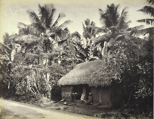 [Cottage, Ceylon].