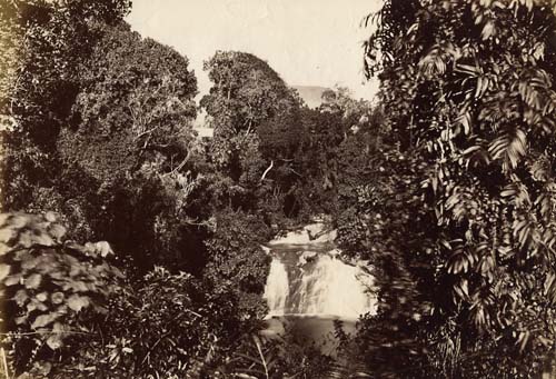 [Waterfall, Ceylon].