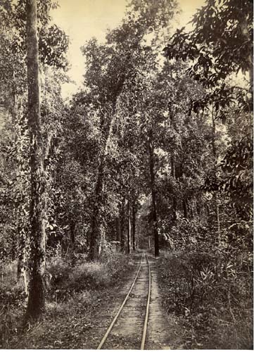 [Railway, Ceylon].