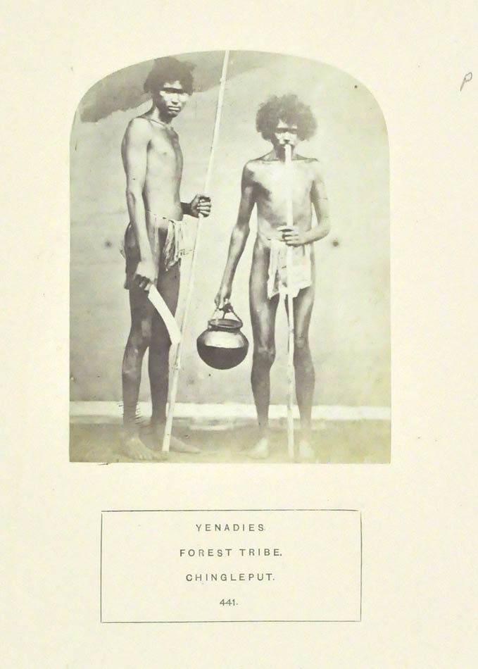 Yenadies. Forest tribe. Chingleput. No. 441 & 442.