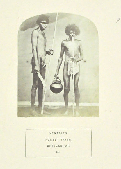 Yenadies. Forest tribe. Chingleput. No. 441 & 442.