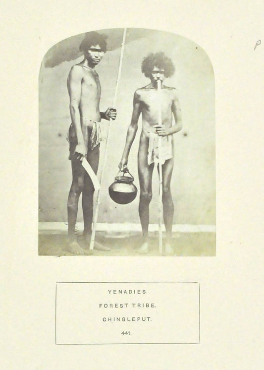 Yenadies. Forest tribe. Chingleput. No. 441 & 442.