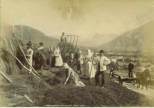 Norwegians making Hay.