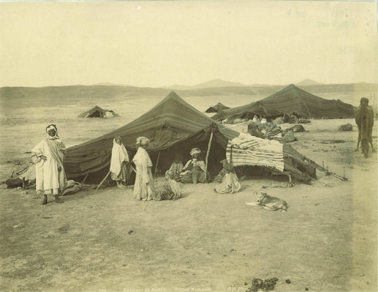 Environs de Biskra - Tribus Nomades.