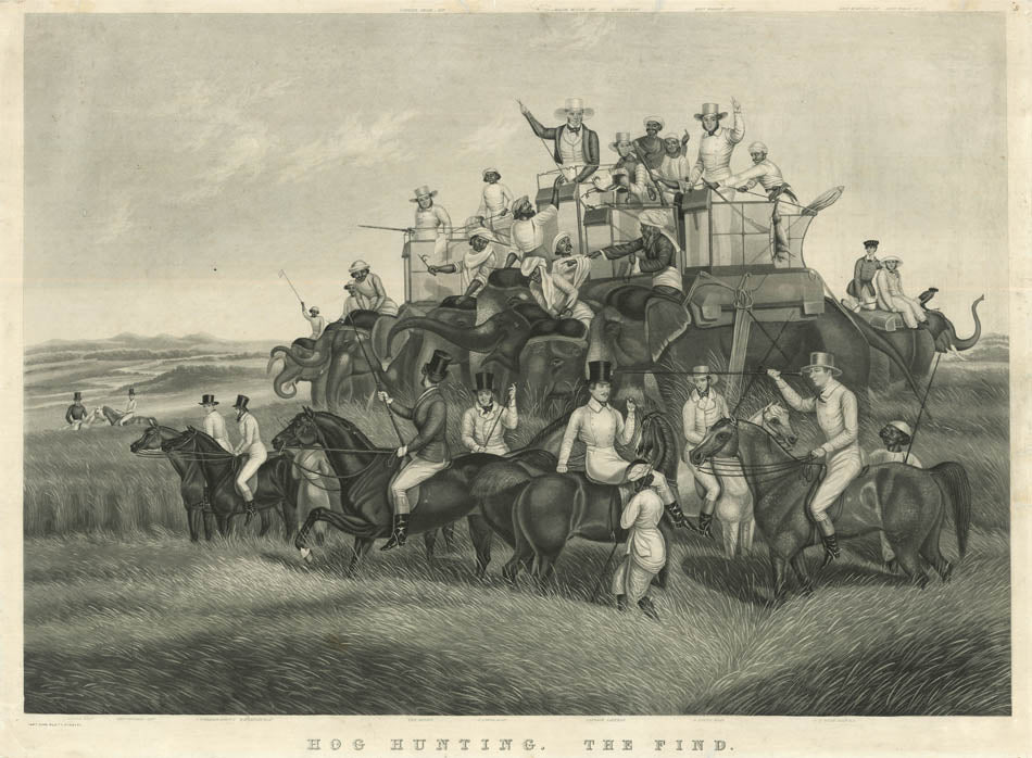 Hog Hunting, the set of 4.