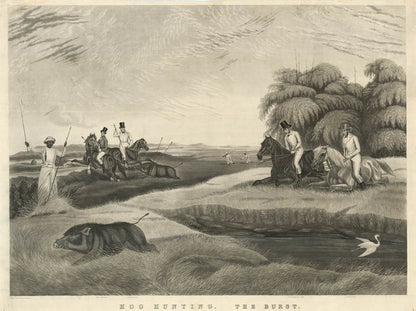 Hog Hunting, the set of 4.