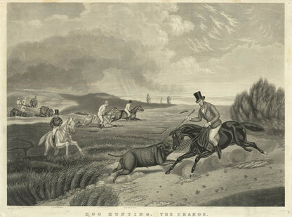 Hog Hunting, the set of 4.