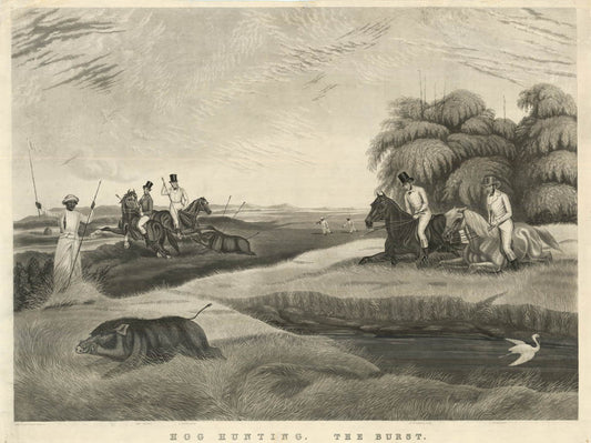 Hog Hunting, the set of 4.