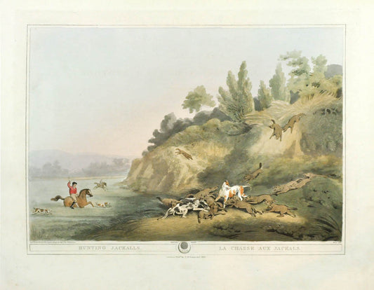 Hunting Jackalls.