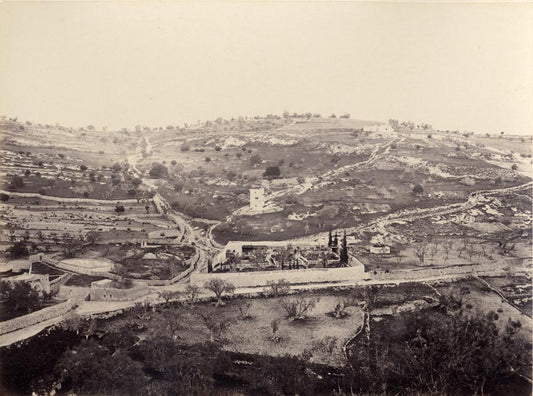The Garden of Gethsemane and Mount of Olives.