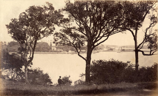 [View of Government House from Domain, Sydney].